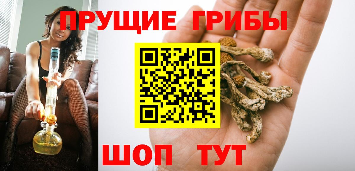 Псилоцибиновые грибы Magic Shrooms  Вход с VPN  Псилоцибиновые грибы Psilocybe  Сланцы 
