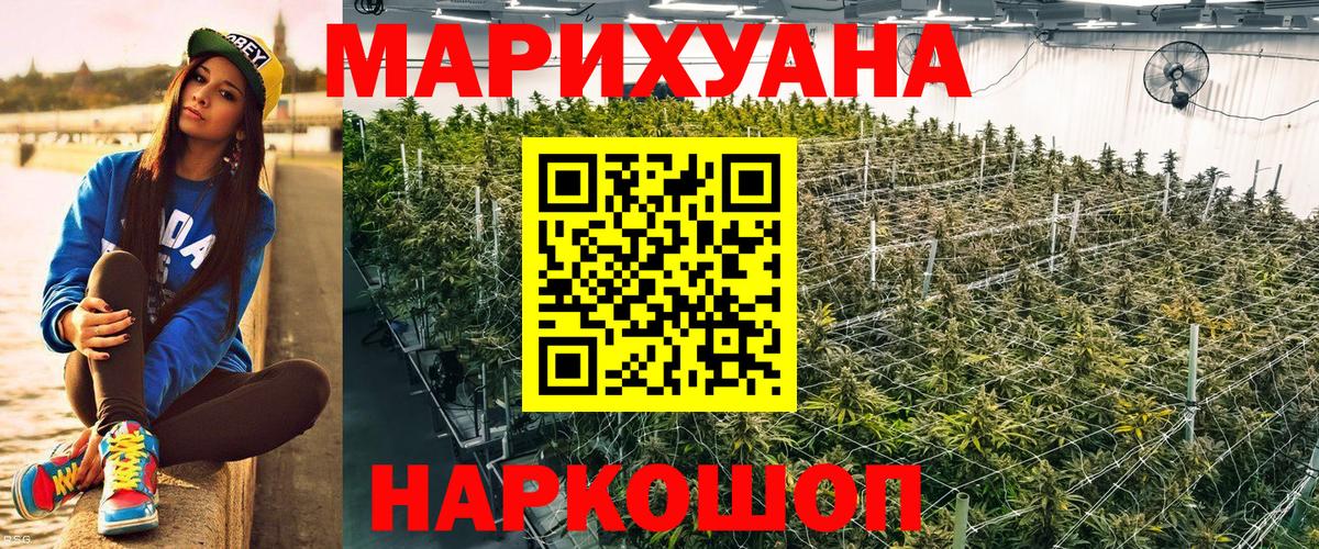 Конопля планчик Сланцы